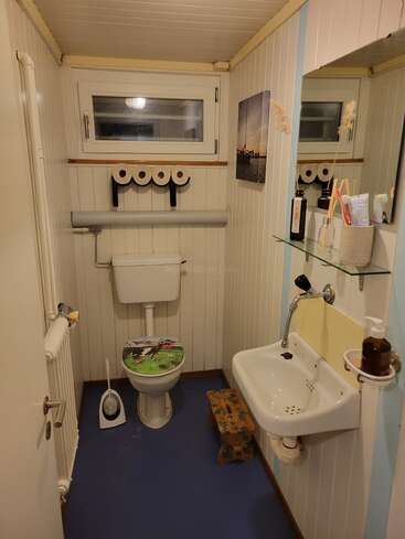 In diesem kleinen Badezimmer gibt es eine Toilette mit einem dekorativen Deckel, ein kleines Waschbecken, einen Spiegel, einen Tritthocker, Toilettenartikel auf Regalen und mehrere Toilettenrollen über dem Becken.