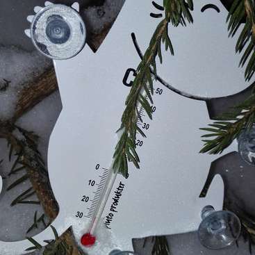 Das Bild zeigt ein weißes Metallthermometer mit roter Spitze, das ein Cartoon-Katzenmotiv und Zahlen von 0 bis 50 zeigt, umgeben von Schnee und Tannenzweigen.