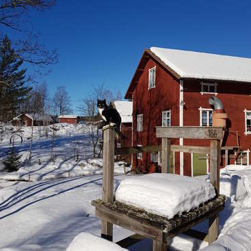 Das Bild zeigt eine ruhige Winterszene mit einer schwarz-weißen Katze, die auf einem Holzpfosten sitzt, mit einer roten Scheune und einer schneebedeckten Landschaft im Hintergrund.