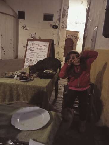 A girl in a red jacket poses playfully at an outdoor restaurant at night. A cat is eating leftovers from the table beside her.