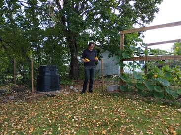 Una persona está de pie en un jardín, sosteniendo una calabaza amarilla. Hay enredaderas verdes que crecen en un enrejado, un cubo de compostaje y hojas otoñales esparcidas por el suelo.
