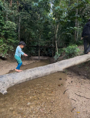 Un enfant et un adulte marchent prudemment pieds nus sur un tronc d'arbre tombé au-dessus d'un ruisseau peu profond dans une forêt luxuriante et verdoyante, profitant de l'aventure de la nature.