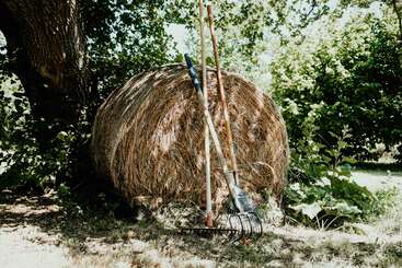 Una gran paca de heno redonda se encuentra debajo de un árbol, con tres herramientas de jardín —dos rastrillos y una azada— apoyadas contra ella, rodeada de vegetación y luz solar.