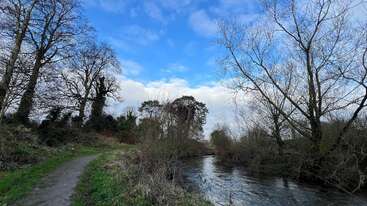 A peaceful riverside scene with bare trees, a winding dirt path, calm water, and a bright blue sky filled with scattered clouds. Serene, natural landscape.