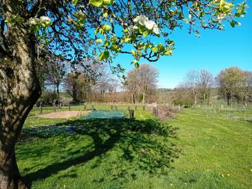 A sunny spring day in a rural garden. Blossoming tree branches in the foreground, grassy field, garden plots, and scattered trees under a vibrant blue sky.