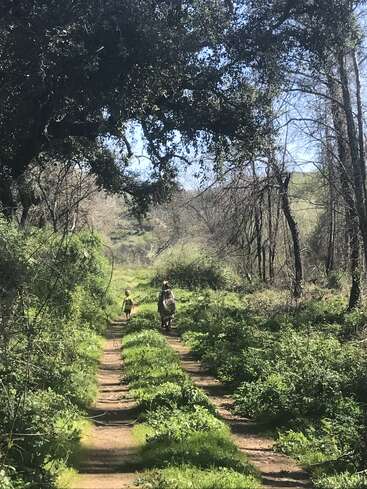 Un camino de tierra discurre entre frondosos y verdes matorrales y árboles. Dos personas, un adulto y un niño, caminan juntos bajo la luz del sol, disfrutando de la naturaleza.