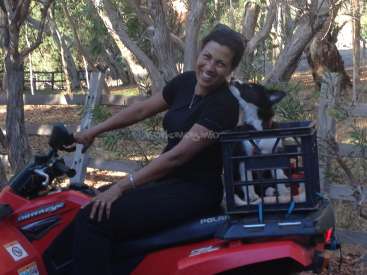 L'image représente une femme chevauchant un VTT avec un chien dans une caisse à l'arrière, sur fond de forêt.