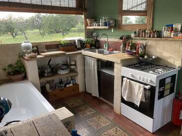 This rustic kitchen features open shelves, a gas stove, lots of plants, colorful patterned tiles, a large window with a green garden view, and natural sunlight.