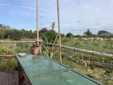 A rustic green table with a plant pot and bowl stands on a wooden deck, overlooking a lush, green garden surrounded by bamboo fencing and trees.