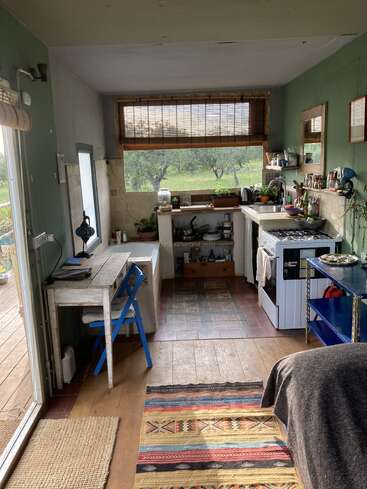 This cozy, rustic kitchen features green walls, a wooden floor, eclectic rugs, a small desk, open shelving, a stove, plants, and large windows with garden views.