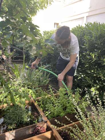 Una persona con el pelo trenzado riega plantas en un parterre de jardín, rodeada de exuberante vegetación y un edificio blanco al fondo en un día soleado.