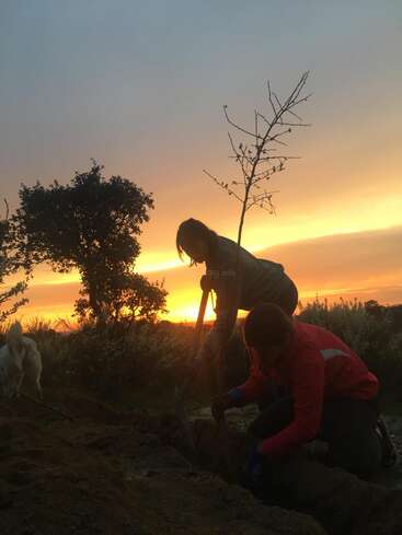 L'image représente deux personnes creusant dans la terre au coucher du soleil, avec un chien à proximité, entourés d'arbres et de buissons, dans un cadre extérieur serein.