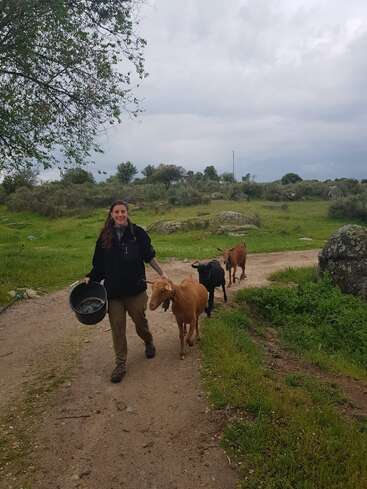 L'image représente une femme marchant sur un chemin de terre, accompagnée de trois chèvres, portant un seau dans sa main gauche et tenant délicatement les cornes de la chèvre de tête avec sa main droite.
