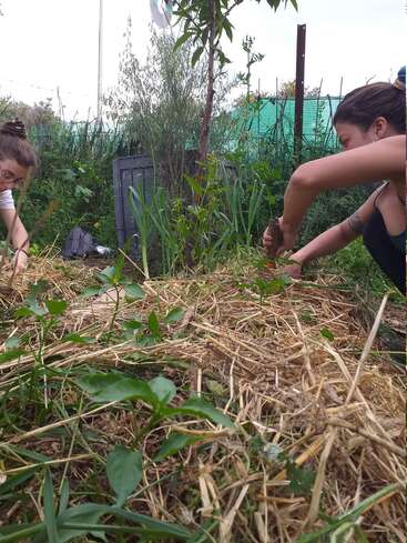Deux femmes s'occupent d'un jardin, entouré de verdure luxuriante et de paille, avec une clôture et un ciel couvert en arrière-plan, évoquant un sentiment de croissance et d'épanouissement.