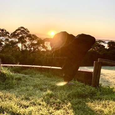 Das Bild zeigt eine ruhige Szene mit einem Elefanten, der auf einer Wiese steht, mit einem Holzzaun und Bäumen im Hintergrund, vor einem leuchtenden Sonnenuntergang.