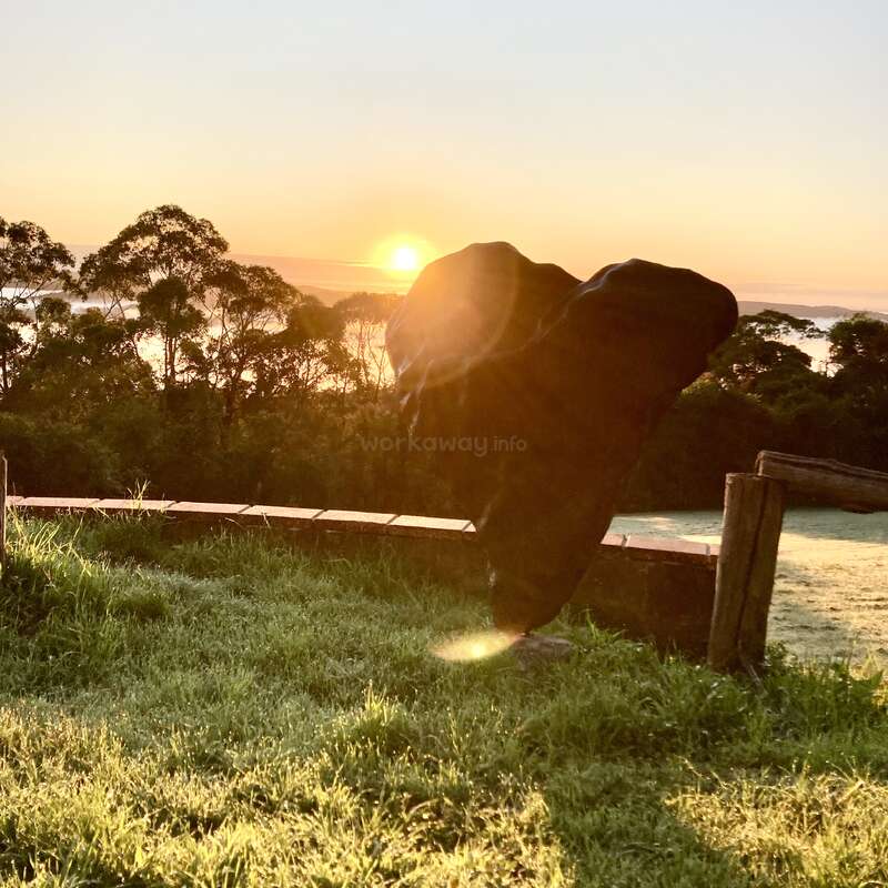 The image depicts a serene scene of an elephant standing in a grassy field, with a wooden fence and trees in the background, set against a vibrant sunset.