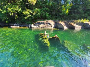 Three people stand on a partially submerged log in clear, green water surrounded by lush forest and rocky shores, enjoying a sunny day outdoors together.