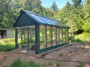 A modern greenhouse with glass walls and a metal roof stands in a sunny garden surrounded by tall trees, growing plants inside and greenery around.