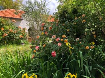 Un charmant jardin, où fleurissent des roses et des iris jaunes, entoure un petit cottage au toit de tuiles rouges et aux murs blancs, sous un ciel partiellement nuageux.