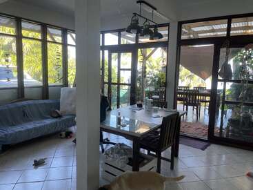 Habitación luminosa con grandes ventanales, un sofá, una mesa de comedor, objetos dispersos por la habitación, un perro a la vista, terraza exterior, exuberante vegetación, ambiente informal y acogedor, decoración moderna.