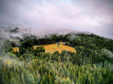 Une colline boisée et brumeuse entoure une petite clairière avec quelques maisons et une route sinueuse. Les arbres denses à feuilles persistantes créent un paysage tranquille, pittoresque et isolé.