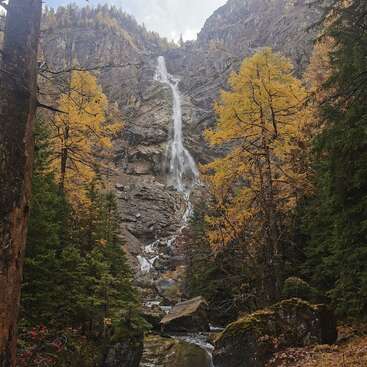 A tall, majestic waterfall cascades down a rocky mountain, framed by autumn-colored trees and lush green pines, creating a serene and picturesque natural scene.