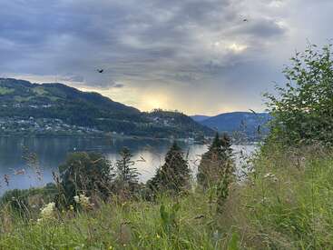 Colinas verdes onduladas cercam um lago tranquilo, com gramíneas silvestres e flores em primeiro plano. Dois pássaros voam sob um céu dramático e nublado, enquanto os raios de sol se abrem caminho.