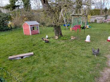 Ein grasbewachsener Garten mit einem roten Hühnerstall, mehreren herumlaufenden Hühnern, einem Baum, Spielgeräten, roten Stühlen und überall verstreuten Futtertrögen. Eine friedliche Umgebung.