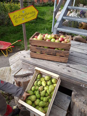Eine rustikale Szene mit Kisten voller frisch gepflückter Äpfel und Birnen. Ein Kind zeigt auf das Obst. Auf einem gelben Schild steht „Gästewohnung“. Im Hintergrund sind eine Außentreppe und Blumen zu sehen.