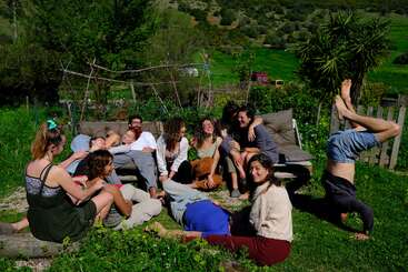 A group of friends relax outdoors on couches and grass, laughing and enjoying the sunshine. One person does a headstand while others lounge and chat together.