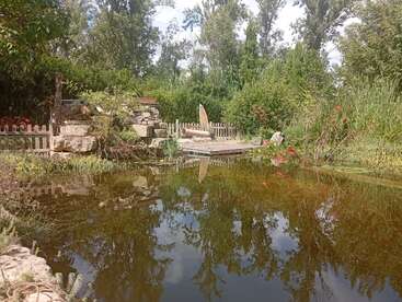 In einem ruhigen Teich spiegeln sich üppig grüne Bäume und der Himmel. Ein kleines Holzdeck, Steinskulpturen, Blumen und ein rustikaler Zaun schaffen eine friedliche Gartenszene.