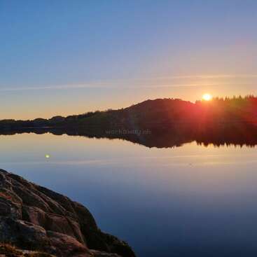 The image is a collage of five photos featuring a serene lake, blooming flowers, playful dogs, and a playground, all set against a natural backdrop.