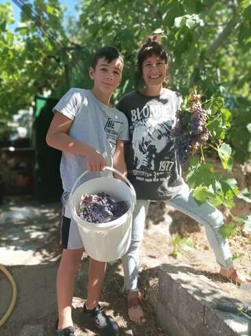 A imagem mostra um menino e uma mulher juntos, segurando um balde de uvas e um cacho de uvas, posando para uma foto em um vinhedo em um dia ensolarado.