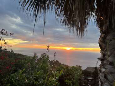 Un magnifique coucher de soleil sur l'océan, encadré par une végétation tropicale luxuriante et un palmier, avec des couleurs éclatantes dans le ciel et un paysage serein en contrebas.