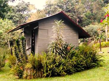 A small, wooden cabin with a red roof is surrounded by lush green plants and trees, creating a peaceful, nature-filled atmosphere in a garden.