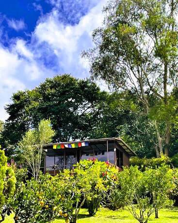 A cozy wooden cabin sits among lush green trees and flowering bushes under a bright blue sky. Colorful flags hang above its porch, creating tranquility.