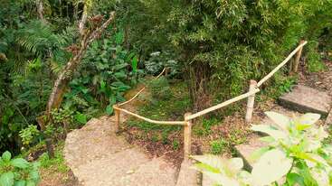 A stone pathway with rustic wooden railings winds down through lush, vibrant green foliage and dense jungle plants, creating a serene, natural forest environment. Peaceful scene.
