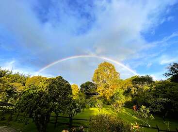A vibrant rainbow arcs gracefully over a lush, green garden with various trees and plants. Blue sky with scattered clouds creates a serene, picturesque landscape scene.