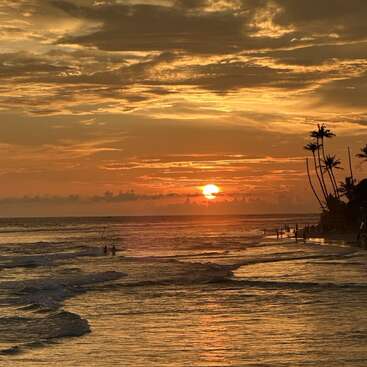 Un coucher de soleil doré sur un océan paisible, les vagues venant doucement lécher le rivage. Des palmiers se découpent en silhouette et des gens profitent de l'atmosphère sereine et chaleureuse de la plage en cette fin de journée.