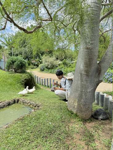 Duas pessoas se agacham perto de uma árvore, observando os patos em um pequeno lago em um jardim verde e exuberante. Uma tartaruga descansa perto de você sob a sombra.