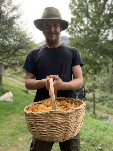 Um cara sorridente, com barba e chapéu, segura uma grande cesta de vime cheia de cogumelos recém-colhidos ao ar livre; atrás dele, dá pra ver árvores verdes e um cachorro.