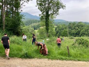 Um grupo de pessoas anda por entre a grama alta em um prado verdejante e exuberante, cercado por árvores, com colinas e montanhas enevoadas visíveis ao fundo.