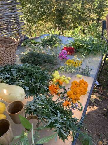 Una mesa de cristal muestra flores de colores y hierbas frescas, dispuestas en ramilletes. Hay una cesta de mimbre, calabazas amarillas, tazas rústicas y vegetación rodeando el entorno exterior.
