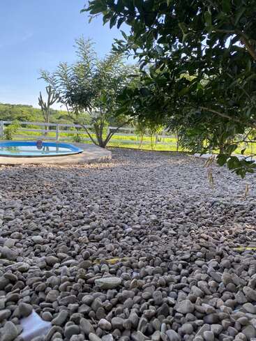 A serene garden scene features smooth pebbles covering the ground, leafy green trees providing shade, a small round pool, and a bright, sunny blue sky.
