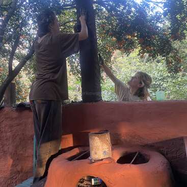 Deux personnes travaillent ensemble en plein air, appliquant du matériau sur un poteau vertical en bois. Autour d'eux se trouvent des orangers feuillus et un poêle en terre cuite construit à la main.