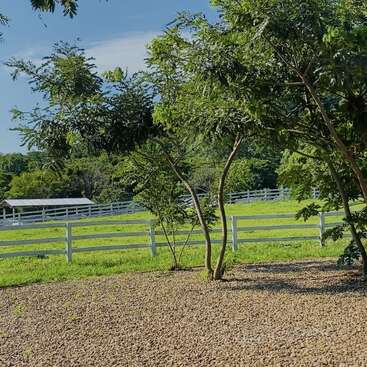 Cette image montre une scène de campagne paisible avec de l'herbe verte, des arbres, des clôtures blanches et un petit hangar sous un ciel bleu clair avec quelques nuages.