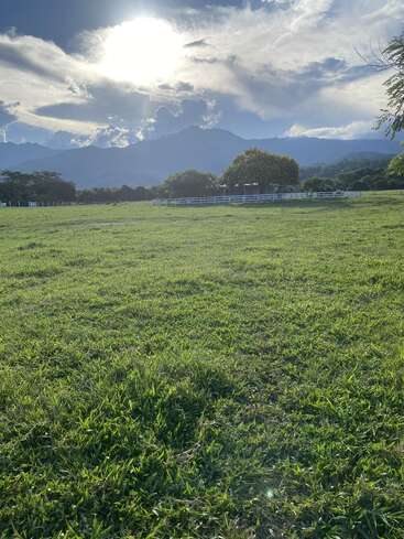 Ein üppiges grünes Feld erstreckt sich bis zu einem entfernten weißen Zaun und Bäumen, mit dramatischen Bergen und einer hellen Sonne, die von einem markanten, wolkenverhangenen Himmel über uns beleuchtet wird.