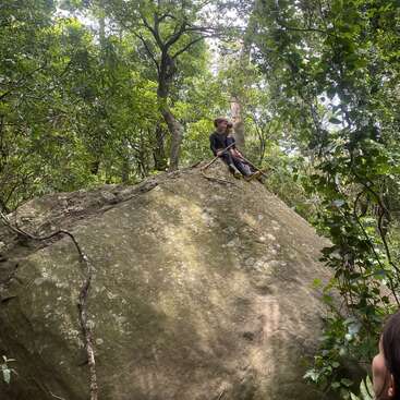A child sits on top of a large boulder in a lush, green forest. Sunlight filters through the trees, creating a peaceful, adventurous atmosphere.