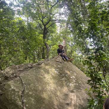 A child sits on top of a large boulder in a lush, green forest. Sunlight filters through the trees, creating a peaceful, adventurous atmosphere.