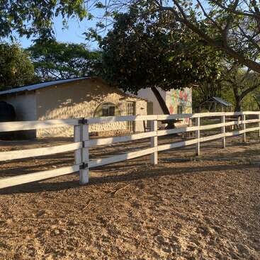 A rustic house with a mural, partially shaded by trees, sits behind a white wooden fence under the afternoon sun on a dirt-covered ground.